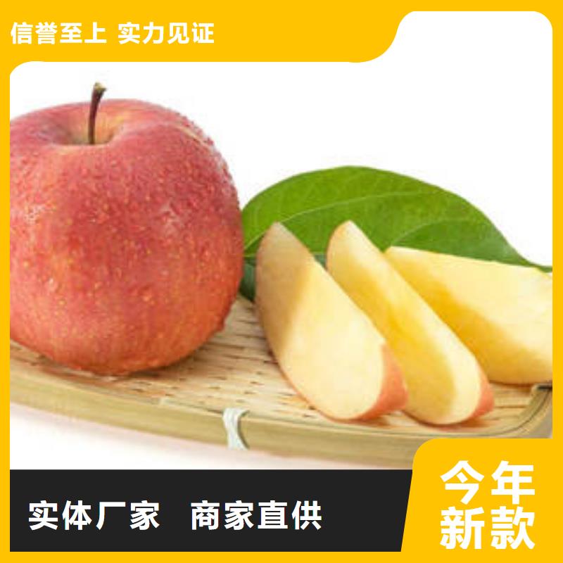 红富士苹果嘎啦苹果讲信誉保质量厂家大量现货