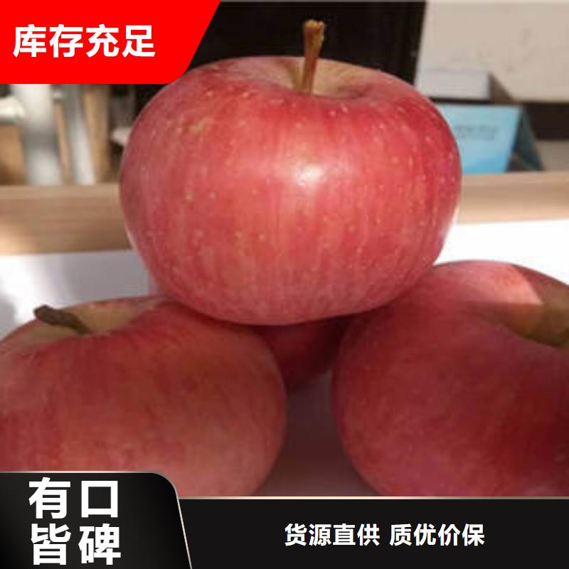 红富士苹果您想要的我们都有长期供应