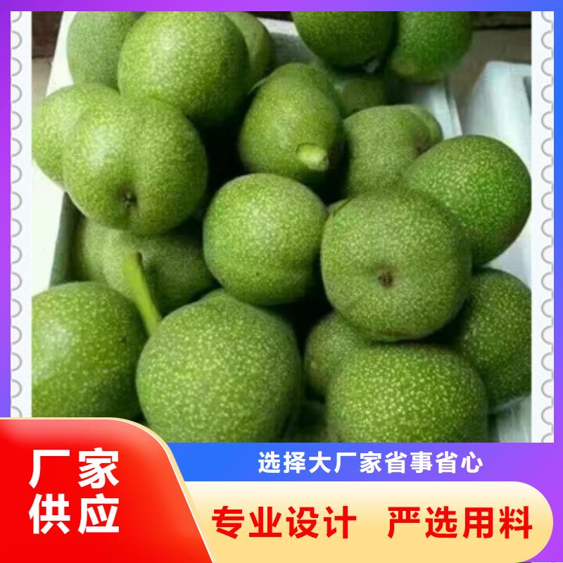 核桃苗_梨树苗精选货源卓越品质保障