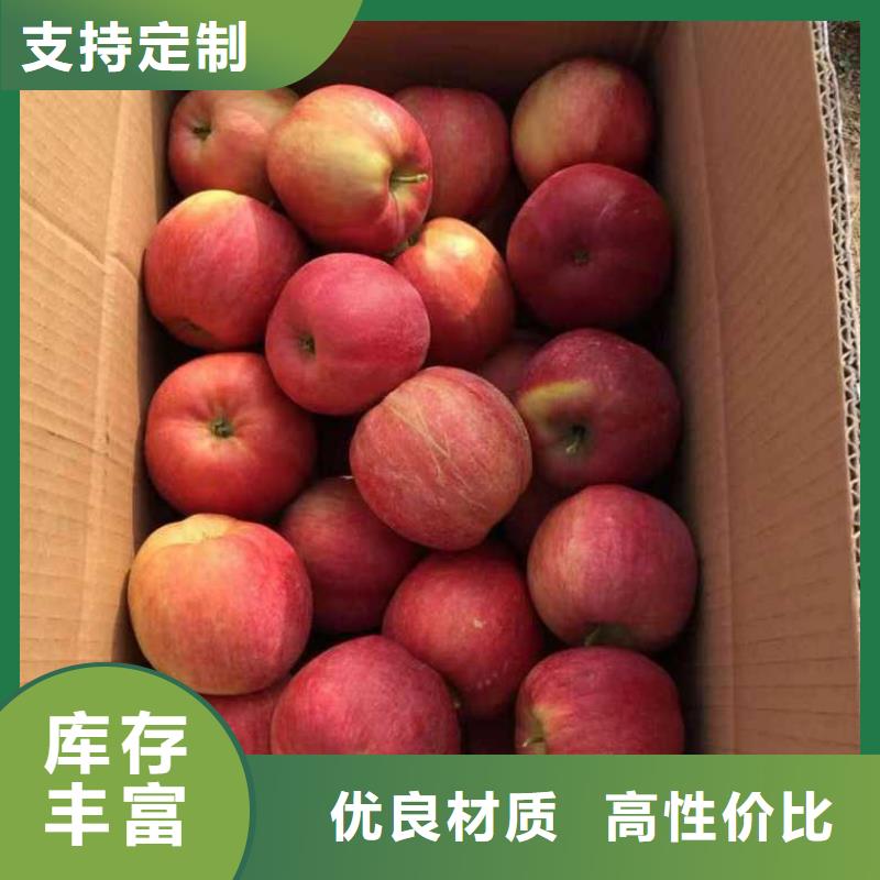 【苹果苗】花椒苗好产品放心购好货直供