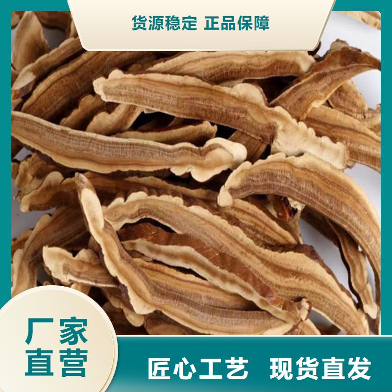 灵芝孢子粉灵芝孢子粉价格产品性能直销厂家