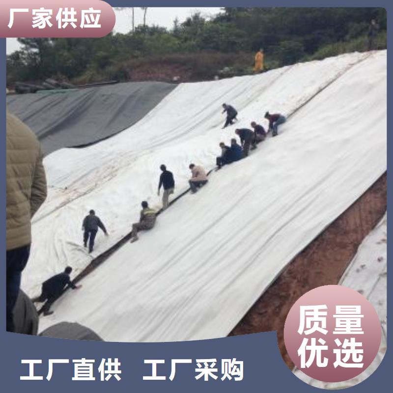 膨润土防水毯复合土工膜现货供应产品优良