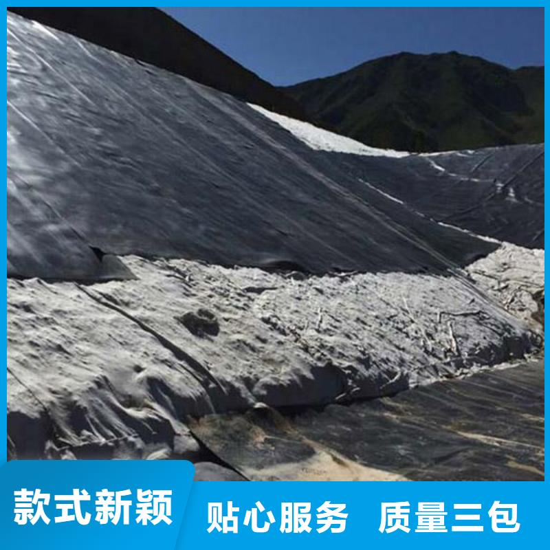 【土工膜膨润土防水毯欢迎来厂考察】产品优良