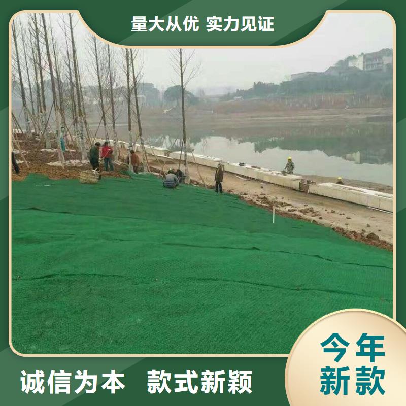 三维植被网【三维土工网垫】本地配送欢迎来电咨询