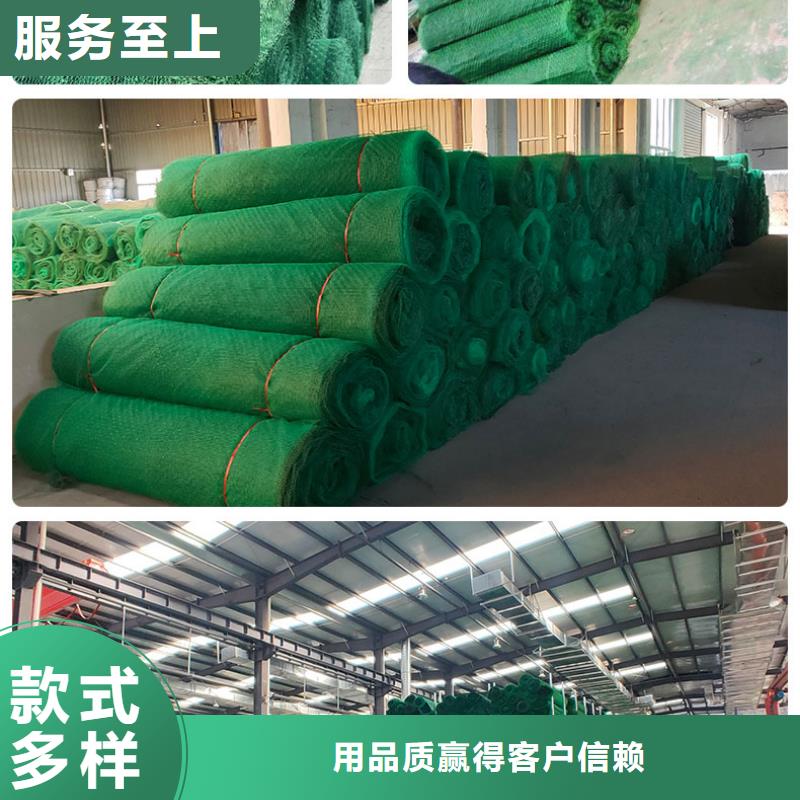 【三维植被网塑料排水板品质保证实力见证】产品优良