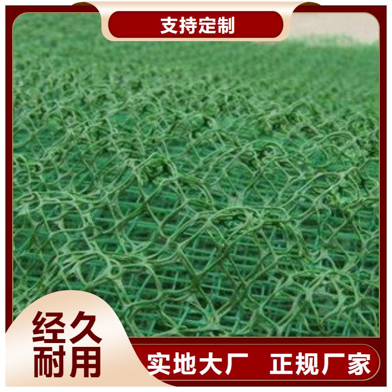 三维植被网养殖膜可接急单高质量高信誉