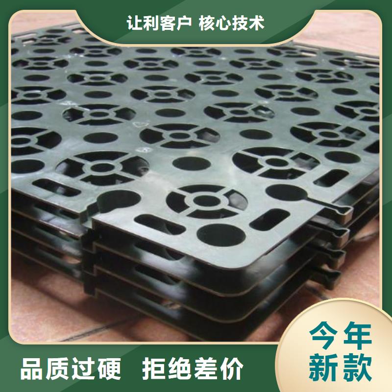 塑料排水板,玻纤土工格栅海量现货直销同城生产厂家