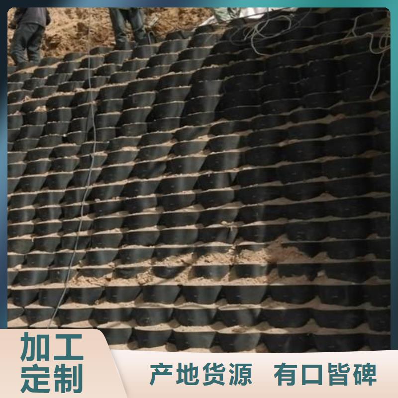 土工格室钢塑土工格栅源头工厂量大优惠同城公司