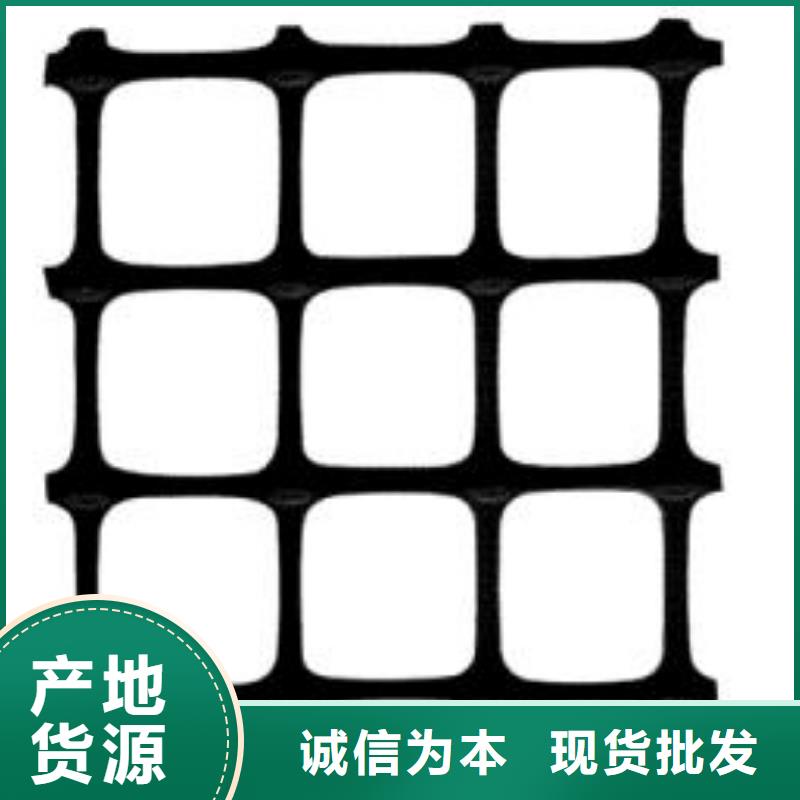 双向塑料土工格栅水土保护毯实力商家原厂制造