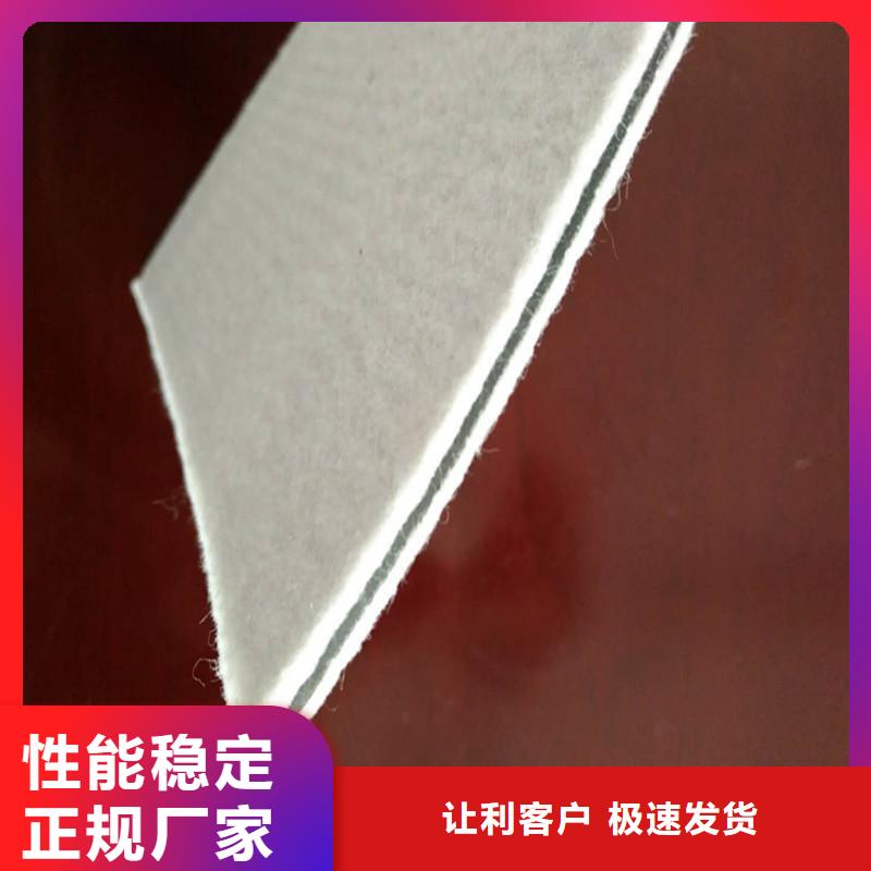 400g土工膜便携式土工膜供应定做本地服务商
