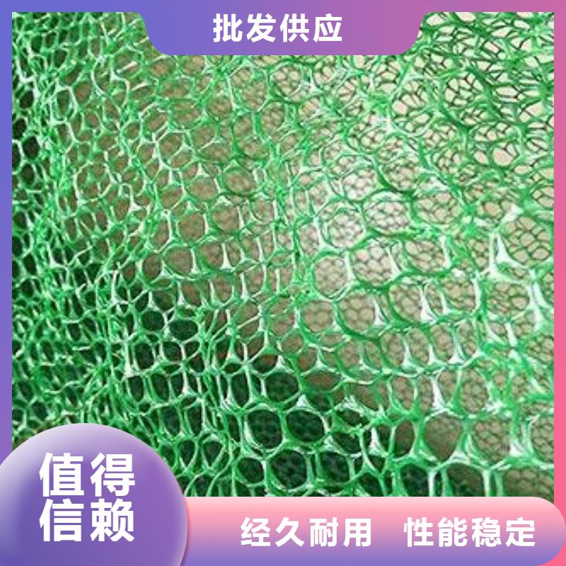 EM4三维植被网EM4护坡固土防止水土流失主推产品