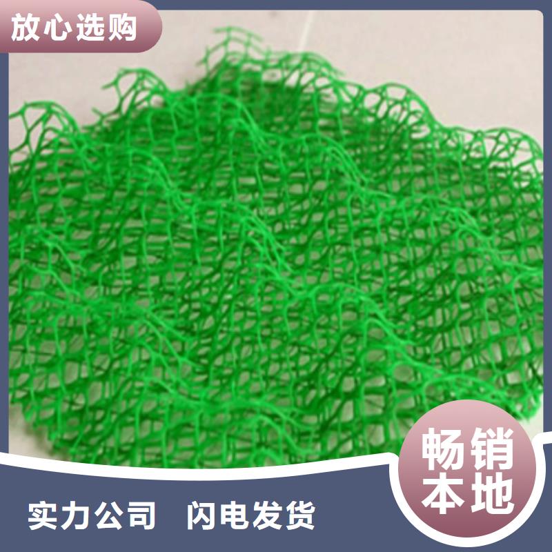 三维植被网水土保护毯来图来样定制细节决定品质