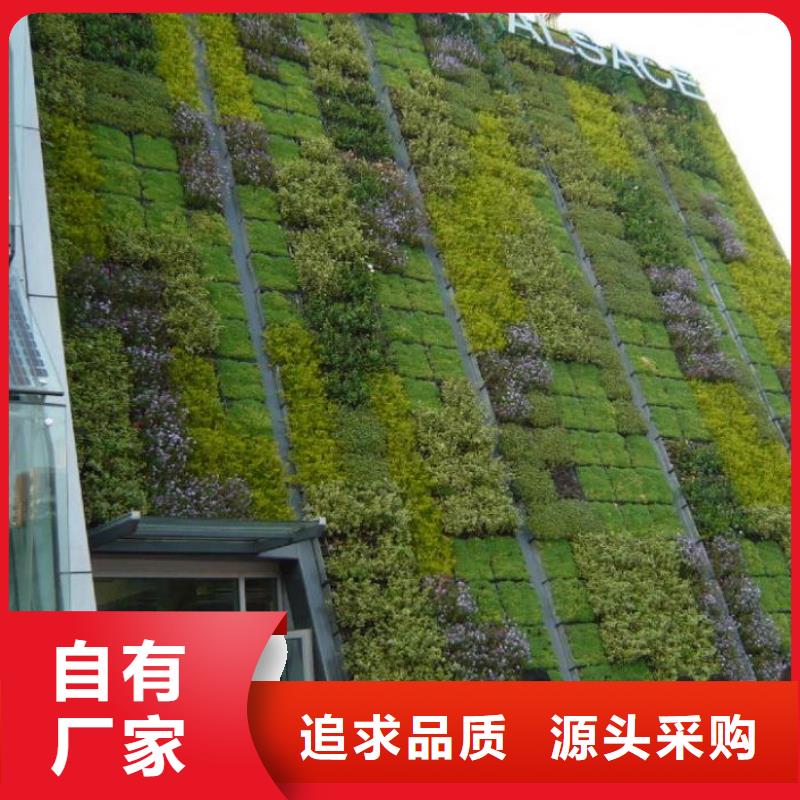三维植被网加筋土工网垫EM2植被网护坡加筋主推产品