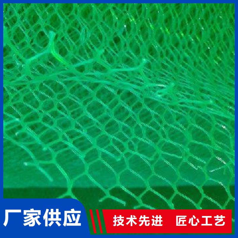 三维植被网厂家植被网看厂家性价比高