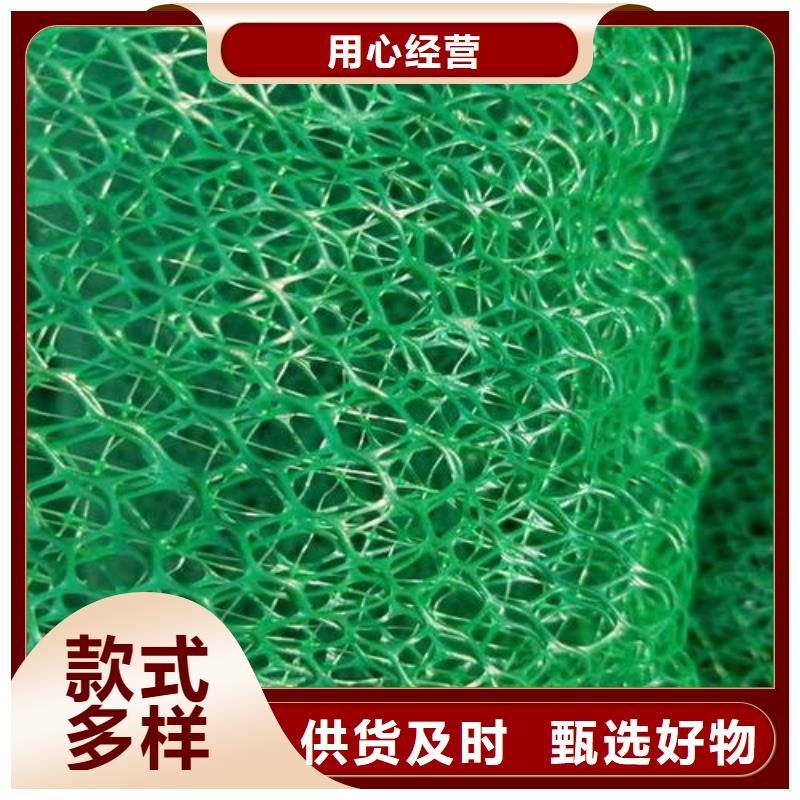 三维植被网厂家供应供应三维网厂家