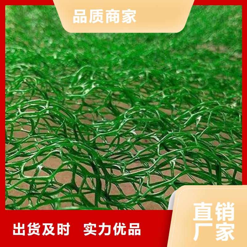 三维网垫厂家-三维植被网生产厂家当地公司