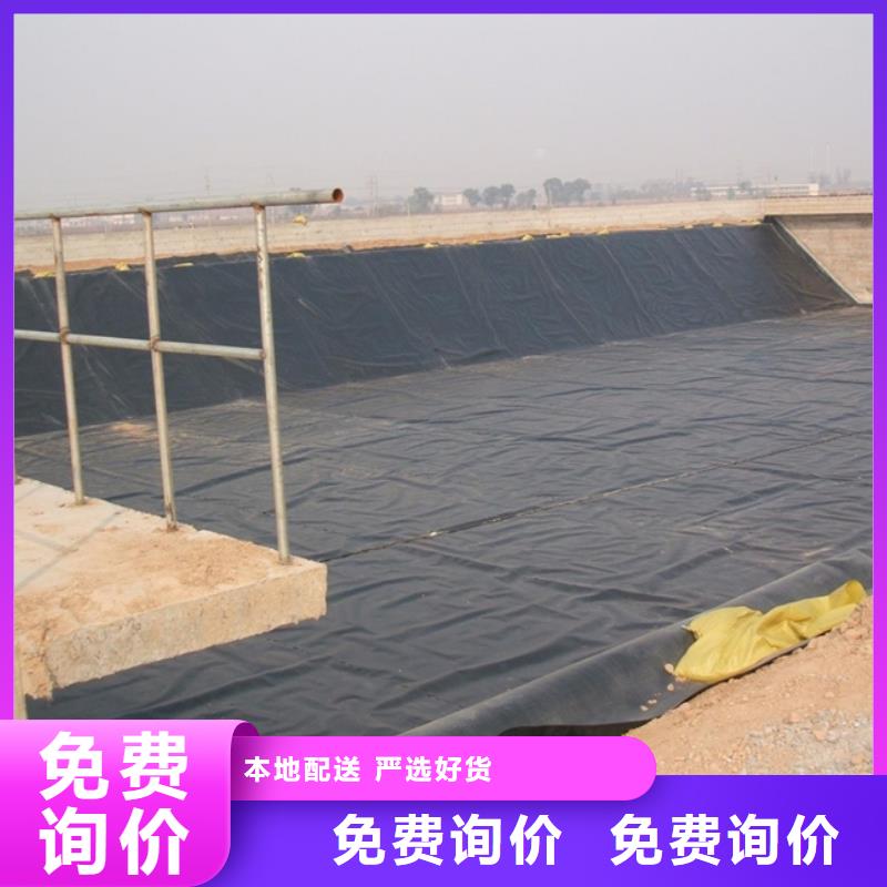 土工膜凸结点钢塑土工格栅产品实拍同城经销商