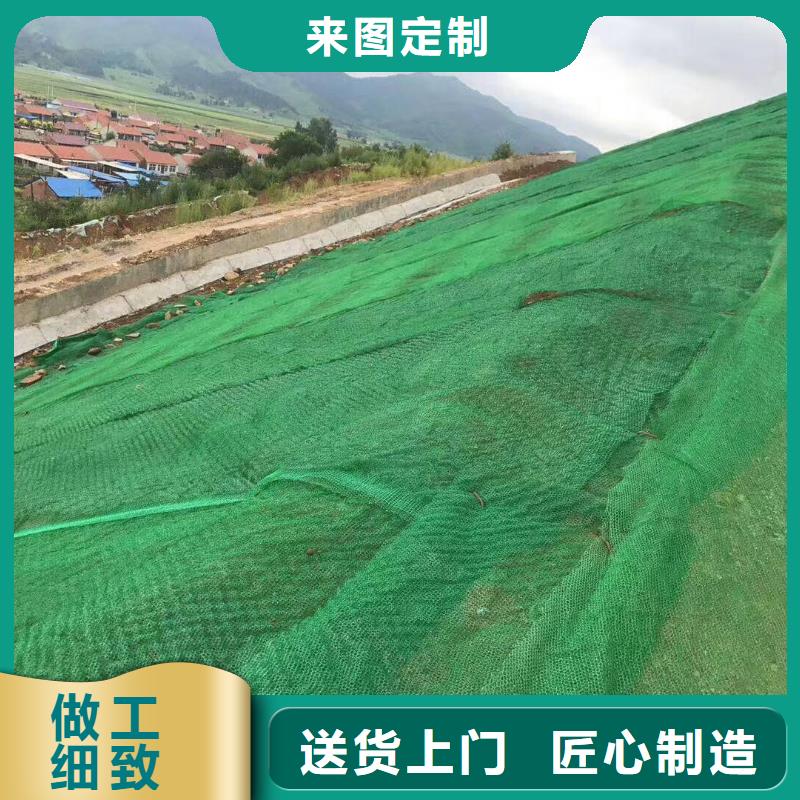 EM3三维植被网哪里有卖？-厂家地址加工定制