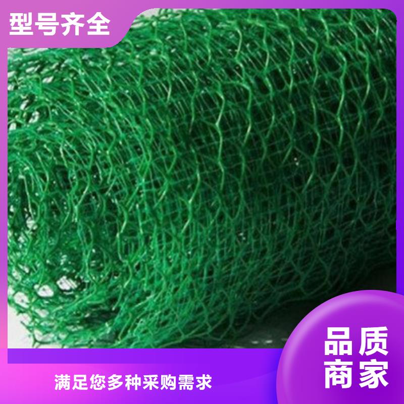 三维植被网2025发售价多少EM4三维土工植被网批发价格三维土工网垫——三维植被网2025年价格表颜色尺寸款式定制