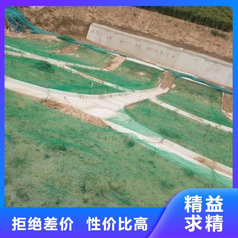 EM3三维植被网护坡造价-边坡护坡网同城公司