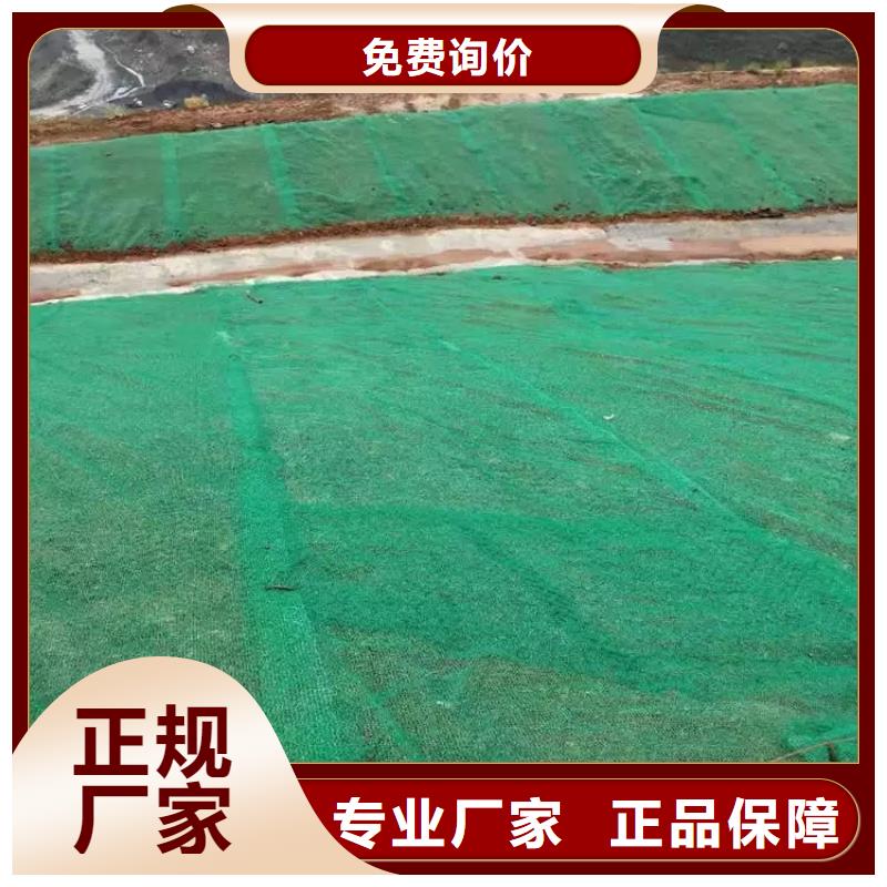 专业植草三维植被网_厂家直销_质优价廉送货上门