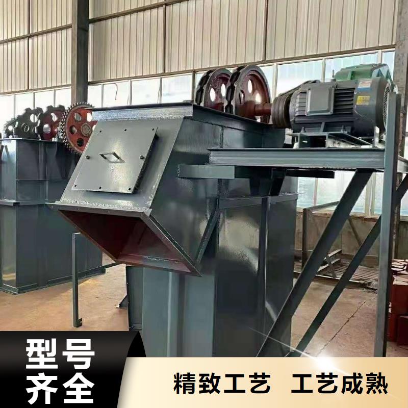 NE100链板斗式机价格无中间商款式新颖