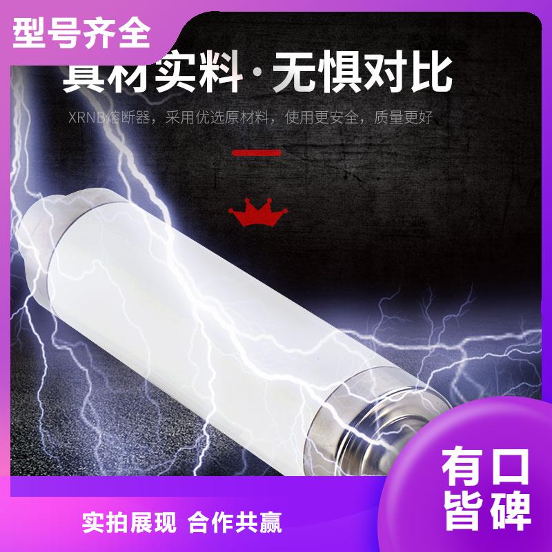 XRNT1-10/6A熔管当地经销商