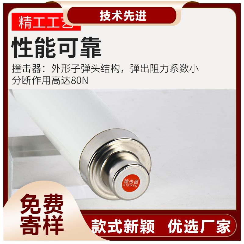 XRNP1-35/1A熔断器现货充足