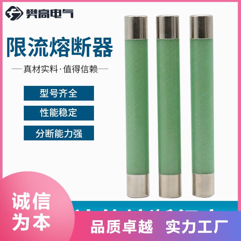 RN1-3/2单管高压熔断器当地经销商