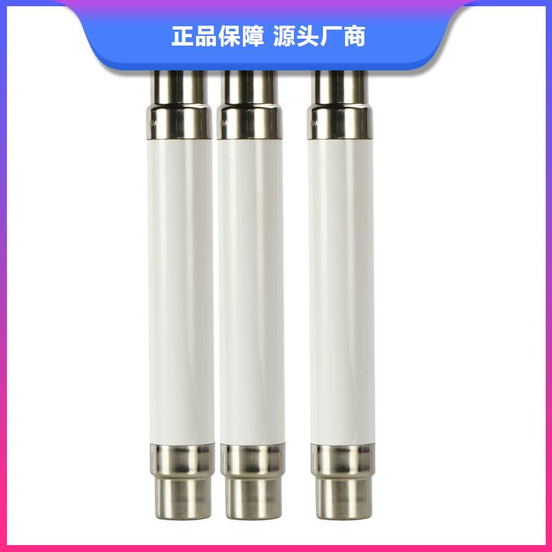 RXWO-35/0.5高压限流熔断器实力厂商