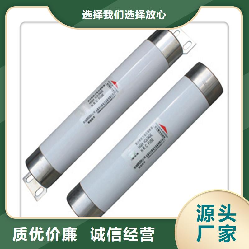 RN1-6/300双管限流熔断器本地厂家