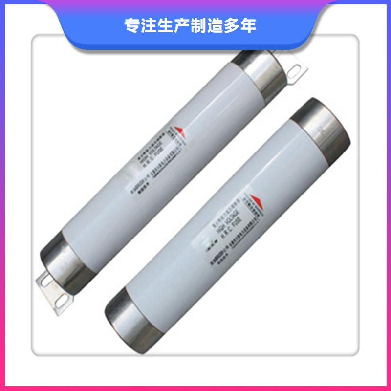 XRNP-10/0.2A高压熔管生产加工