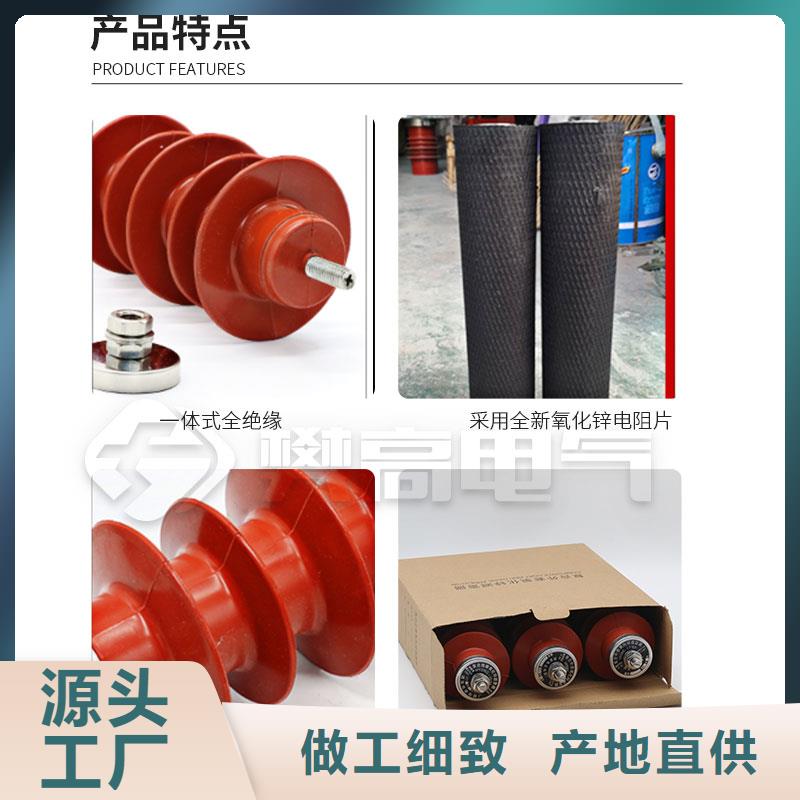氧化锌避雷器Y2.5WZ-7.6/19货品齐全