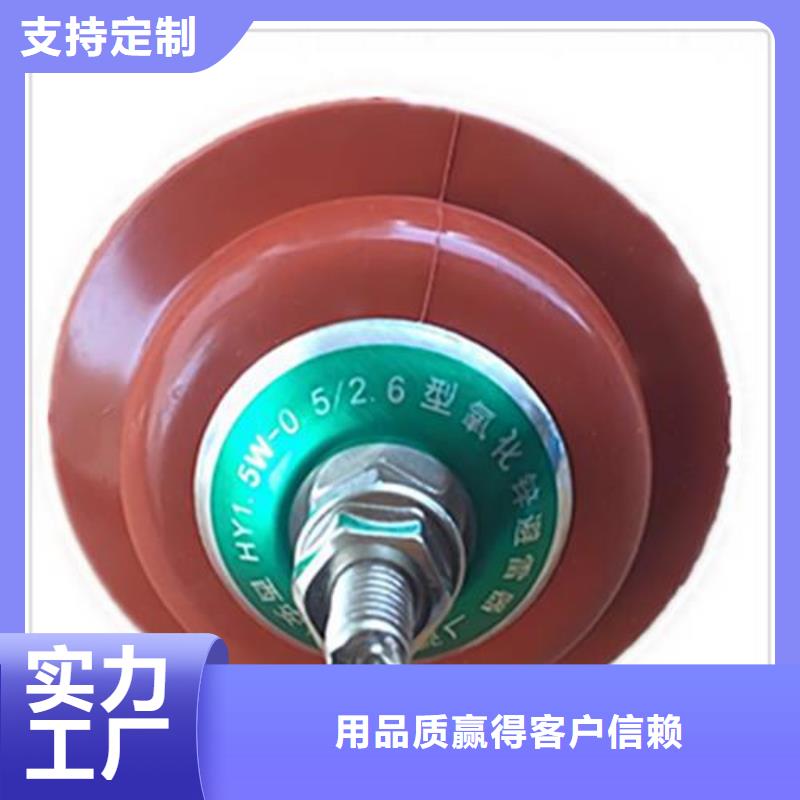 Y10W1-228/593W线路高压避雷器专注细节使用放心