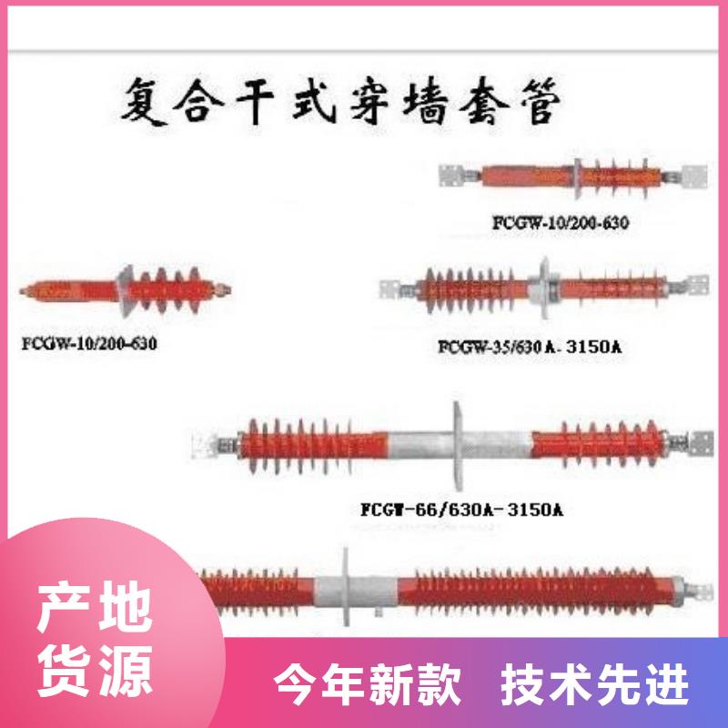 CWWB-40.5/1600A高压套管用好材做好产品
