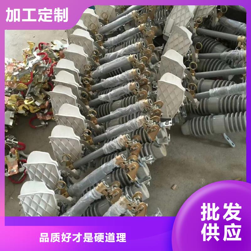 熔断器【氧化锌避雷器】快速报价本地生产商