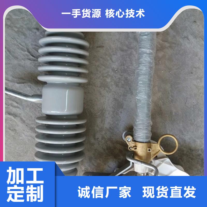 RW11-10F/200A跌落保险专注品质