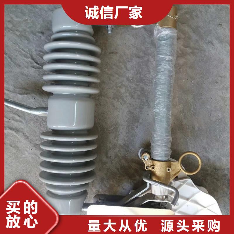 RW4-10/100A跌落式熔断器本地服务商