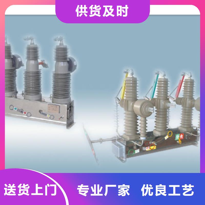 真空断路器氧化锌避雷器价格细节严格凸显品质当地品牌