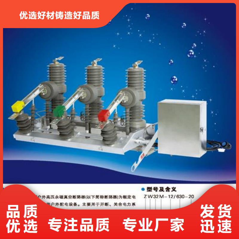 ZN28A-12/630-25分体式系列户内真空断路器精选厂家好货