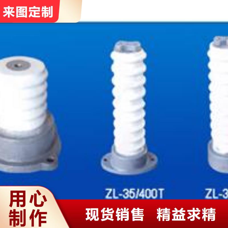 绝缘子限流熔断器生产型本地生产厂家