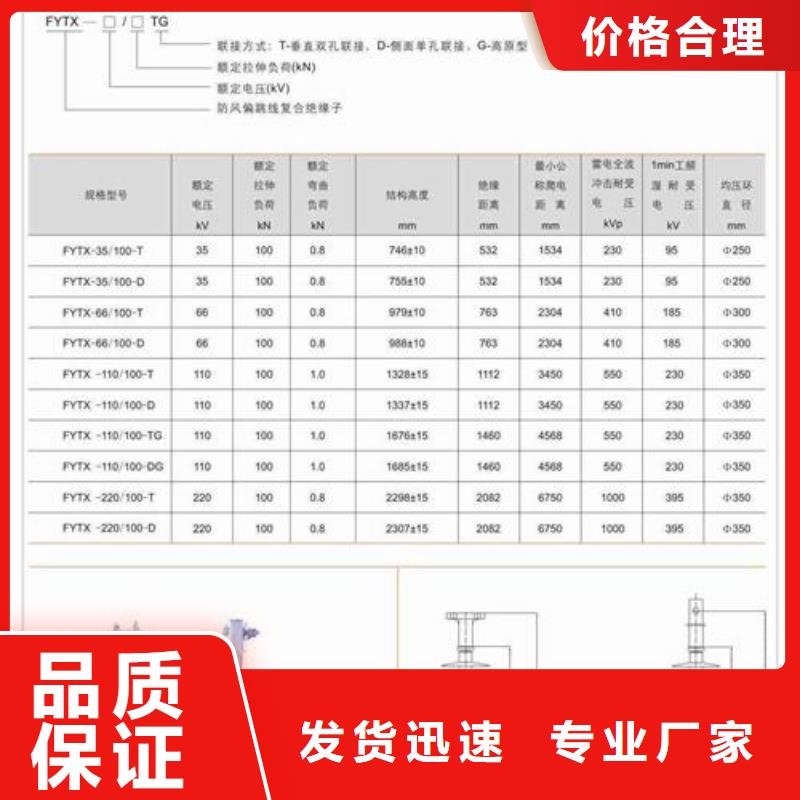 ZSW-63/400高压陶瓷绝缘子当地供应商