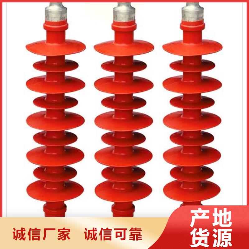 ZN-10KV/100*140环氧树脂绝缘子同城生产厂家