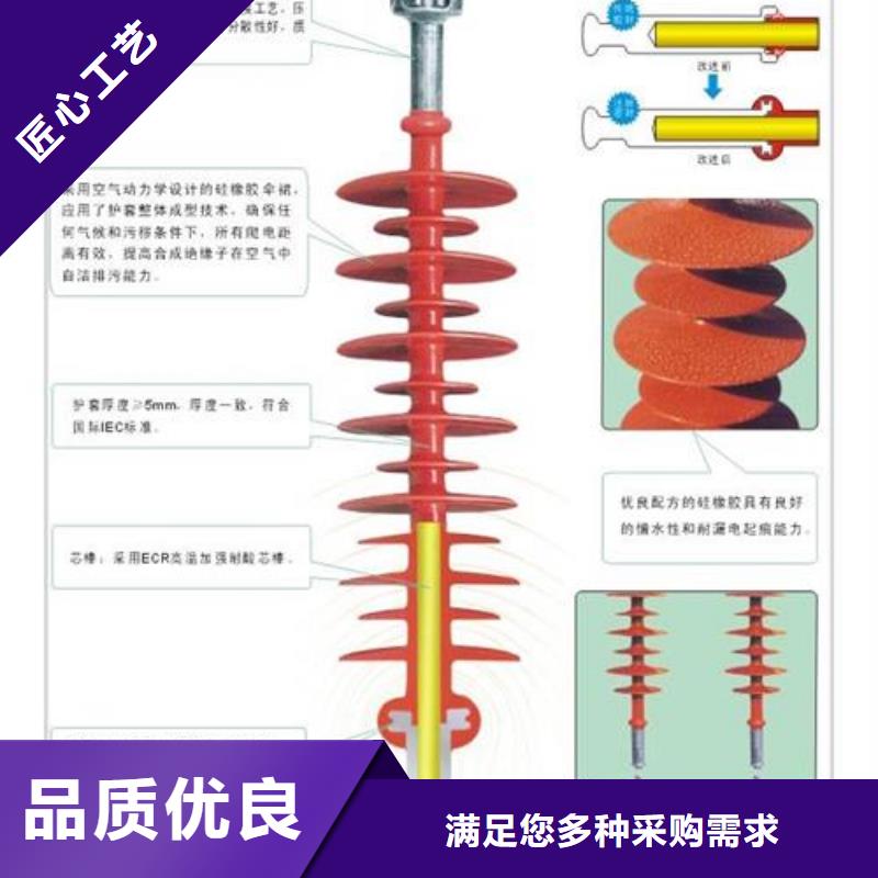 绝缘子氧化锌避雷器供应源头厂家来图定制实体厂家大量现货