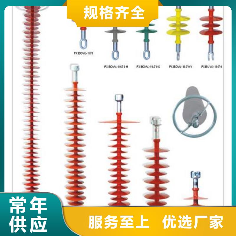 ZSW-110/6.12高压陶瓷绝缘子同城厂家