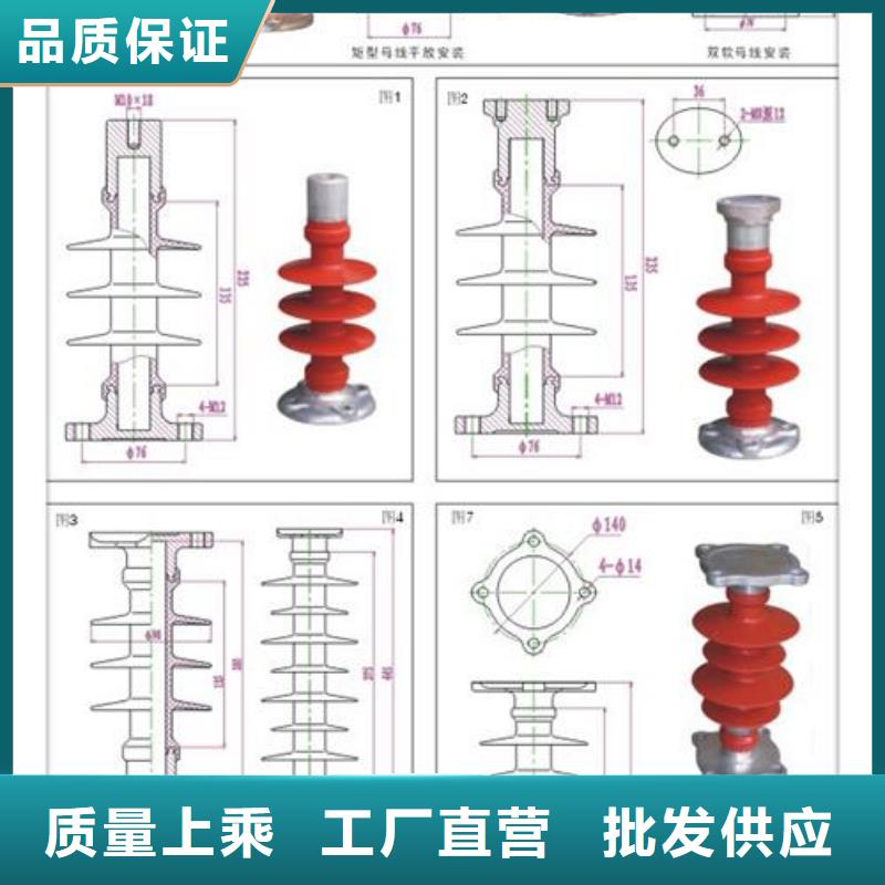 ZSW-110/400支柱绝缘子产地批发