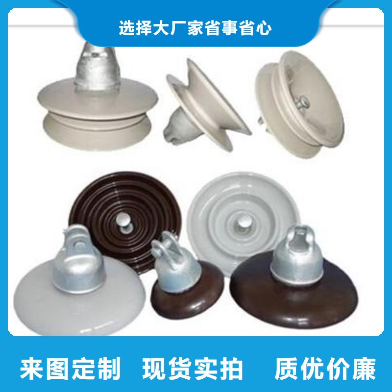 ZN-10/4户外高压绝缘子商家直供