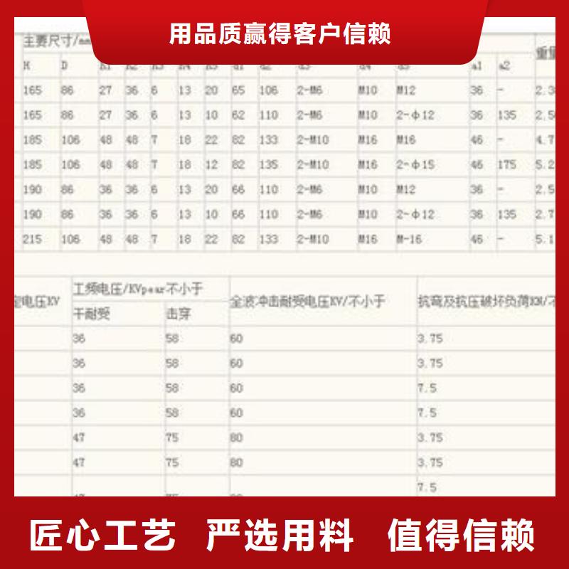 ZSW-60/8绝缘子樊高电气实力优品