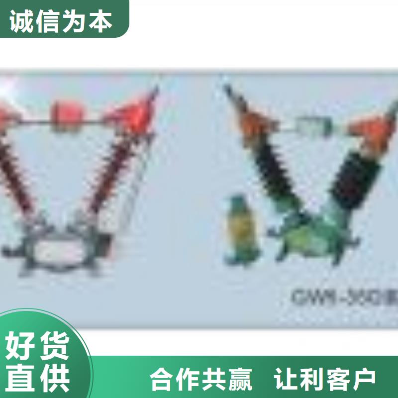 GN19-10ST/1250-31.5户内高压隔离开关同城供应商