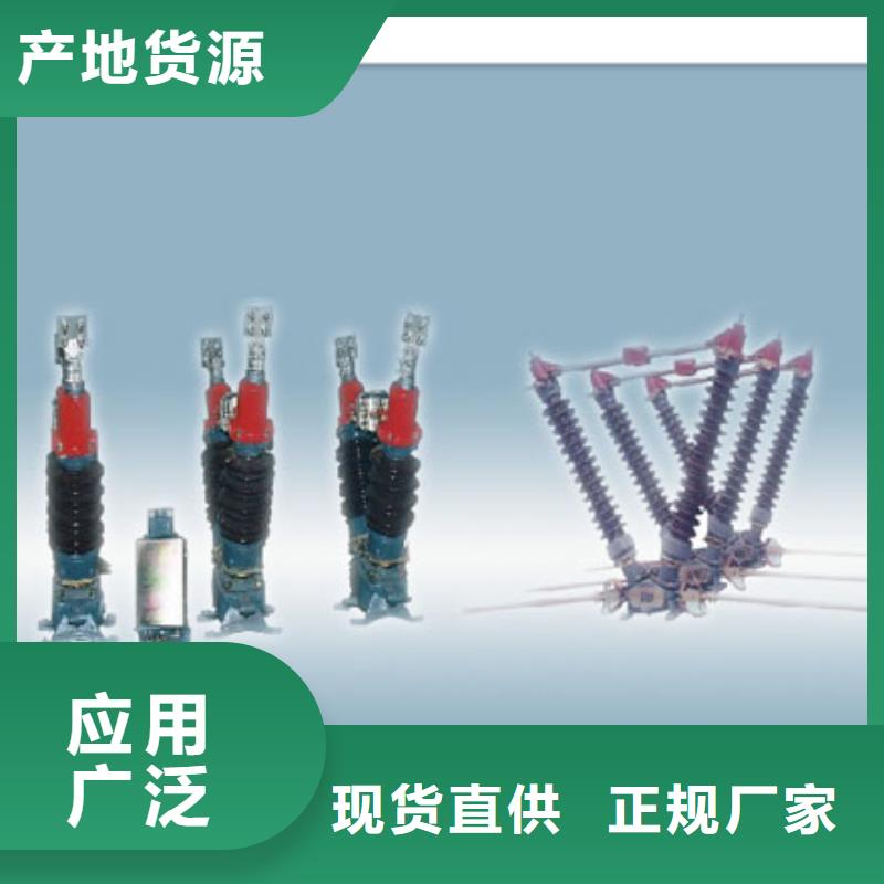GN19-10C1/1250-40户内隔离开关本地经销商